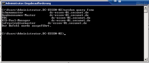 FSMO-Rollen abfragen FSMO-Rollen abfragen