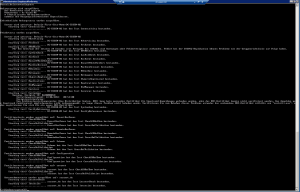 Ausgabe von dcdiag Ausgabe von dcdiag